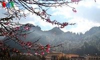 Primavera en la zona montañosa de Tay Bac