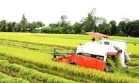 Modelo del Gran Campo en Vietnam muestra resultados alentadores