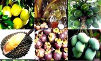 Vietnam incentiva exportaciones agrícola y acuática