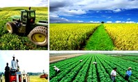 Expertos comparten experiencias sobre sostenibilidad agrícola de Vietnam