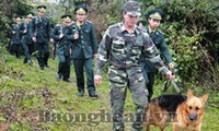 Actividades en saludo al Día tradicional de Guardafronteras vietnamitas