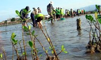 Vietnam celebra el Día Mundial del Medio Ambiente