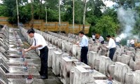 Enaltecedoras actividades conmemorativas al Día de los Mártires y Mutilados de Vietnam