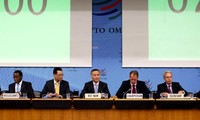 Vietnam cumple responsabilidades con la OMC