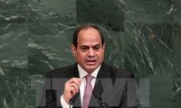 Egypt tries to promote Middle East peace process