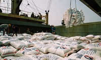 Vietnamese rice export increases