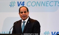 Egyptian President issues decree forming National Electoral Commission