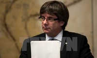 Spanish Senate offers Catalan leaders chance to discuss Article 155