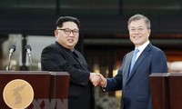  South Korea, Russia support trilateral cooperation with North Korea