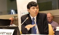 Vietnam shares experience in green agriculture at ECOSOC forum