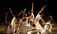 24 compagnies au Festival international de la danse 2017 au Vietnam