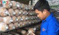 Bùi Minh Thang, la passion des champignons