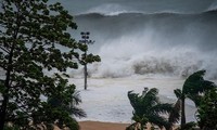 74 morts, le bilan du super typhon Mangkhut s'aggrave aux Philippines