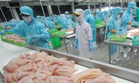 Vietnam: vers le développement durable de la pêche