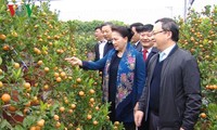 Nguyên Thi Kim Ngân en visite dans la province de Hung Yên 