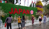 Sakura: quand Hanoï se met à l’heure japonaise