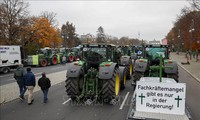 Des milliers d’agriculteurs manifestent à Berlin contre la politique environnementale