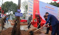 Lancement de la fête de plantation d’arbres dans différentes localités