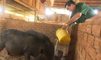 Lê Trong Tùng, l’ancien combattant exemplaire de Kiên Duc