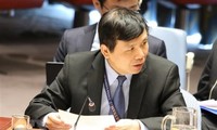 Le Vietnam préside la réunion du Groupe de travail du Conseil de sécurité sur les tribunaux internationaux