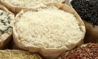 Riz: développer les marques vietnamiennes à l’international