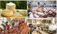 Exportation agro-alimentaire: une belle performance en 2020