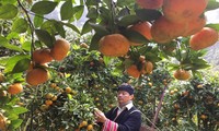 Tang Van Binh, un agriculteur généreux