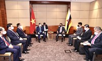 Entretien entre Pham Minh Chinh et le sultan du Brunei 