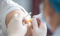 Covid-19: l’OMC promeut la distribution de vaccins dans les pays en développement