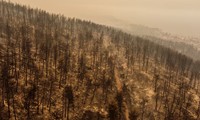 Incendies en Grèce: pompiers et habitants continuent leur lutte contre les flammes