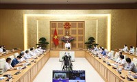 Pham Minh Chinh rencontre des scientifiques des secteurs sanitaire et pharmaceutique