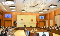 Vietnam-Laos: partage de compétences législatives