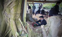 Le culte du génie de la forêt des Dao rouges