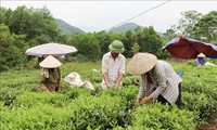 Les agriculteurs exemplaires à l’honneur