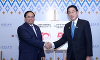 A partir de novembre, le Japon autorisera l’exportation du longane vietnamien