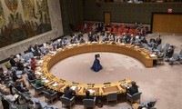 La Palestine appelle l’ONU à prendre des mesures pour protéger les civils attaqués par des colons israéliens