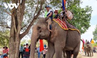 Une cérémonie de culte pour la santé des éléphants