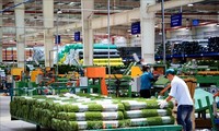 Le Vietnam attire près de 16,24 milliards de dollars d’IDE en sept mois