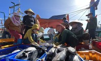 Conférence sur la lutte contre la pêche INN