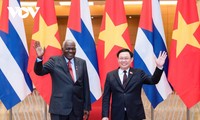 Resserrer les relations Vietnam - Cuba