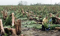 L'ONU avertit qu'El Niño se prolongera jusqu'au milieu de 2024