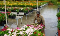 Hommage aux horticulteurs de Sa Déc