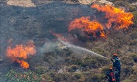 Les incendies ravagent le sud de l’Europe