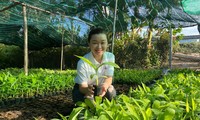 Nguyên Phuong Hang: Pionnière de l'innovation agricole