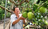 Nguyên Van Bay, un agriculteur milliardaire de Bên Tre