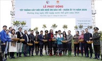 Lancement de la campagne de plantation d’arbres du printemps à Thai Binh