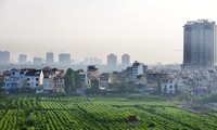 Vietnam-France: ensemble pour une agriculture durable et responsable