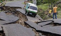 Посольство СРВ в Индии оказывает помощь вьетнамским туристам, находящимся в Непале