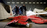 Нидерланды отказались рассекречивать документы по крушению MH17