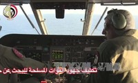 На поиск черных ящиков пропавшего самолета «EgyptAir» понадобится 12 дней 